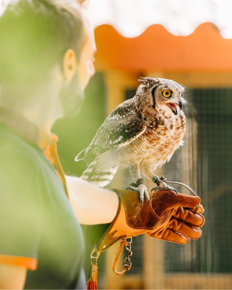 Séminaire Confidentiel